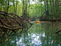 Kayaking the Rio Esquinas